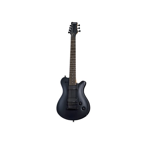 FRAMUS D-Series Panthera 7 String Nirvana Black Transparent Satin
