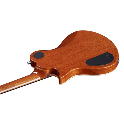 FRAMUS TeamBuilt Panthera II Supreme Amber Transparent High Polish